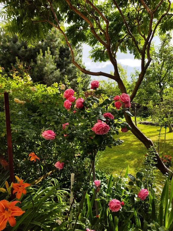 Дом для отдыха Майя возле моря