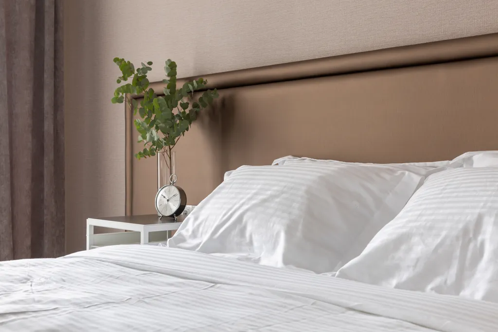 Апартаменты Писателя