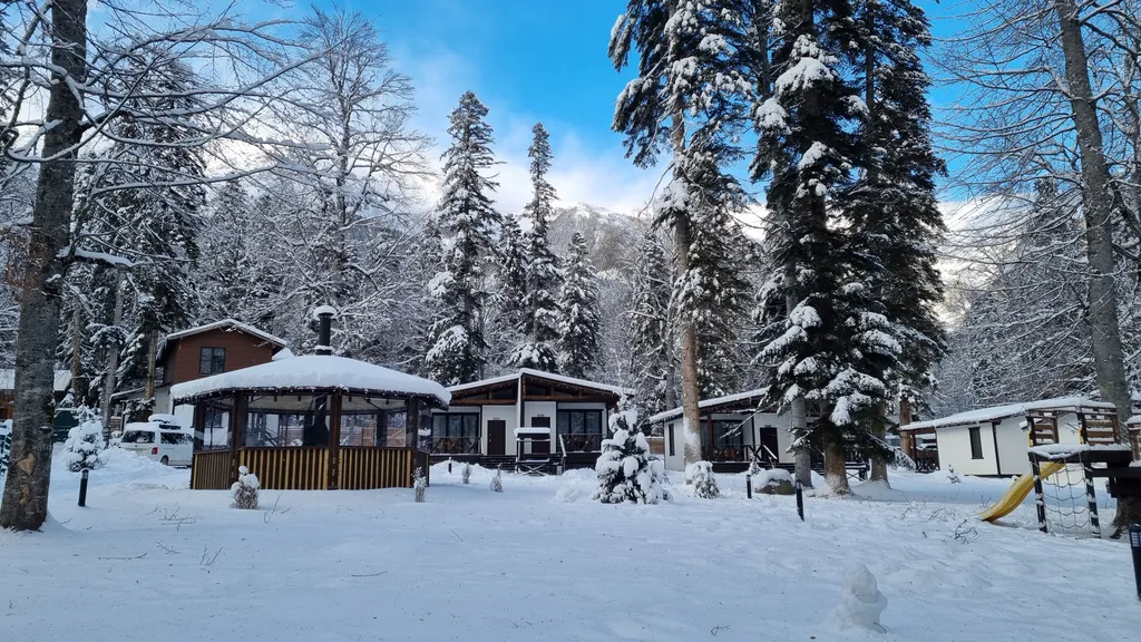 1-комнатный Дом