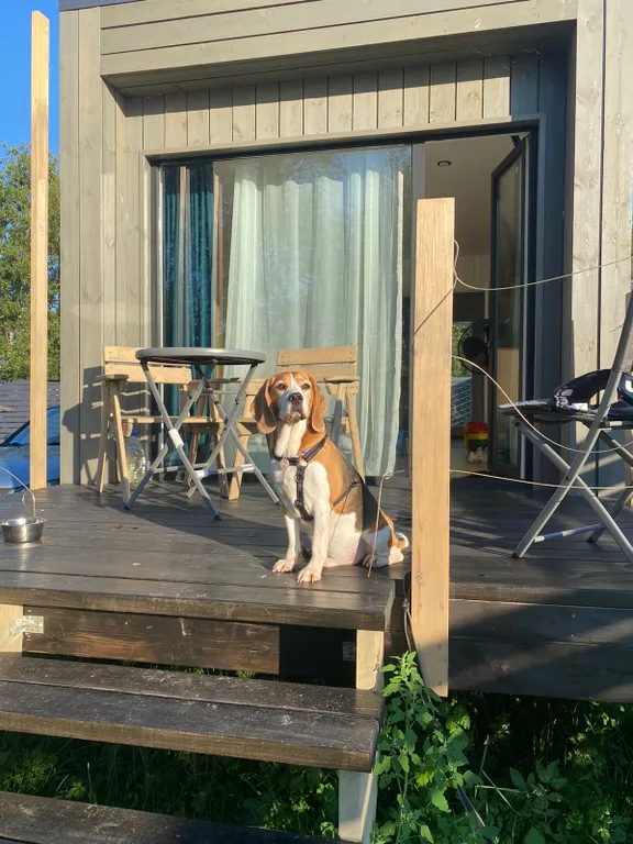 Коттедж Дом на берегу реки у пирса — Сясьстрой