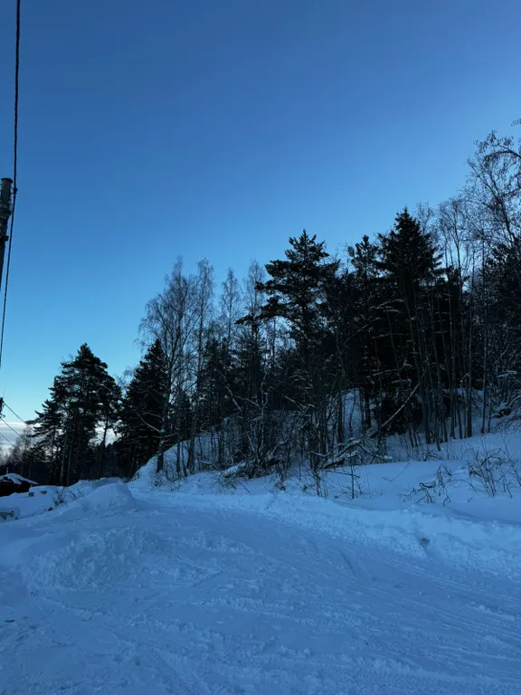 Дом на берегу ладожского озера, в живописном месте