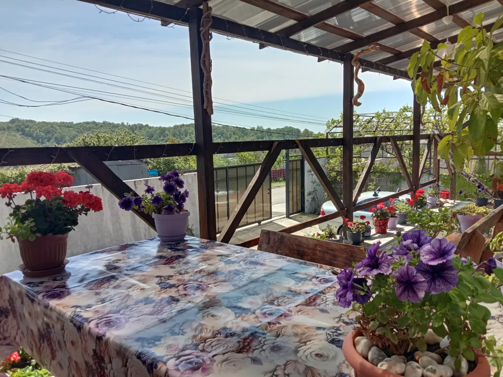 Этаж с видом на море, лес и горы