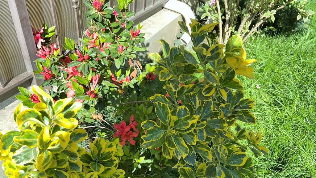 Апартаменты Приморье