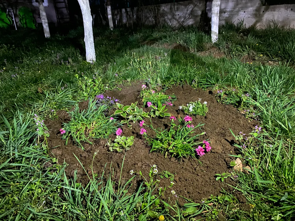 Коттедж Коттедж Дача с банькой в живописном лесу — Горячий Ключ