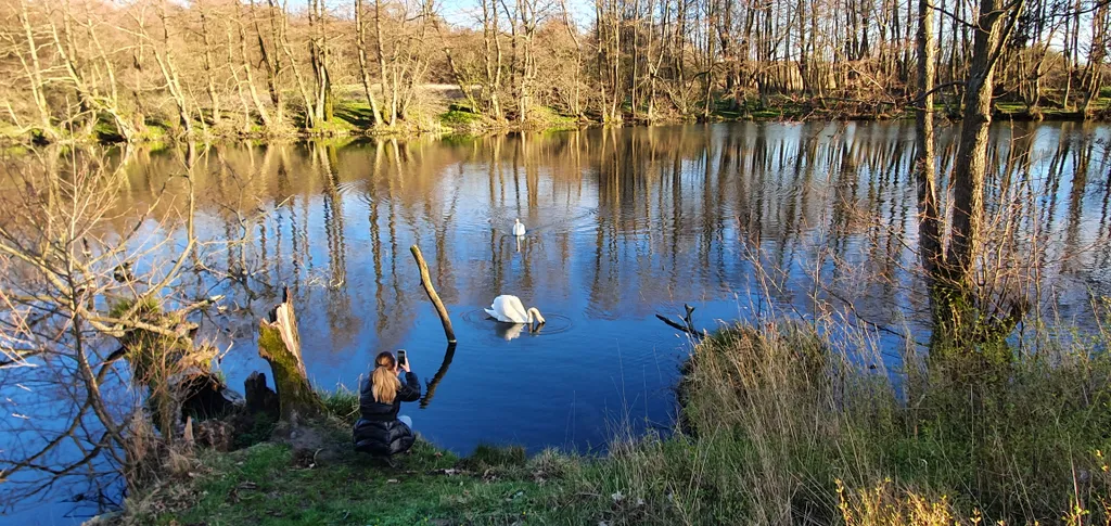 Апартамент в загородном доме филино с сауной, садом и барбекю
