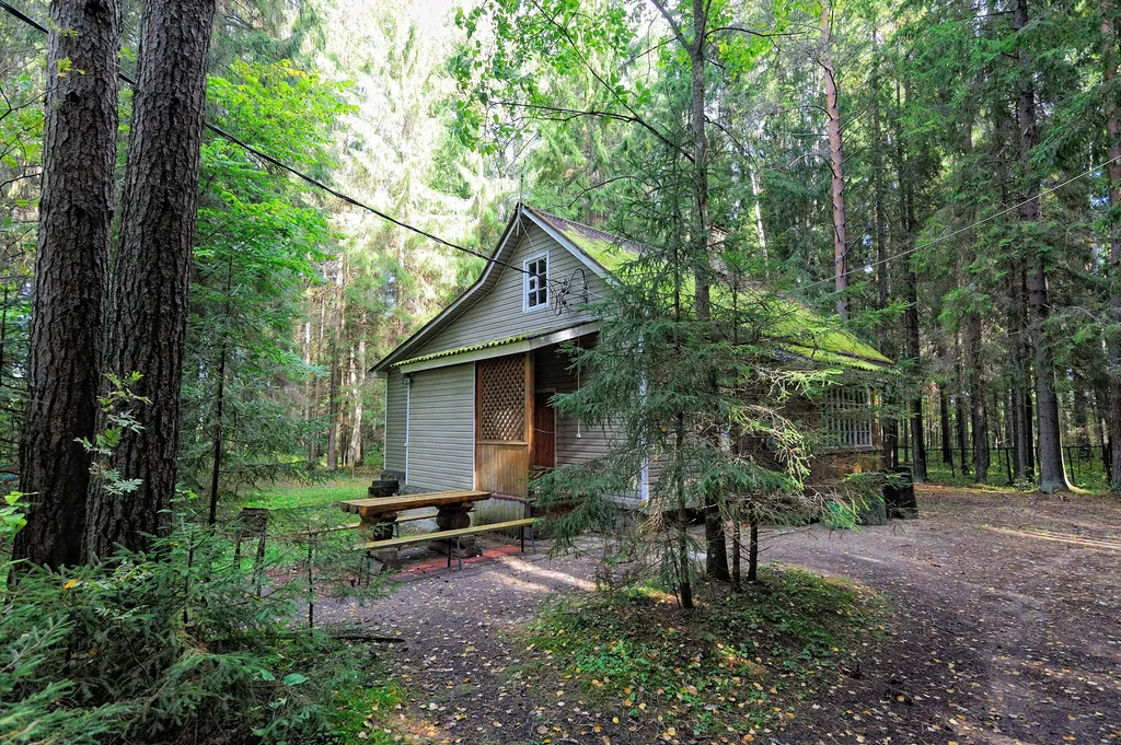 Коттедж 3-комнатный Дом — Луга