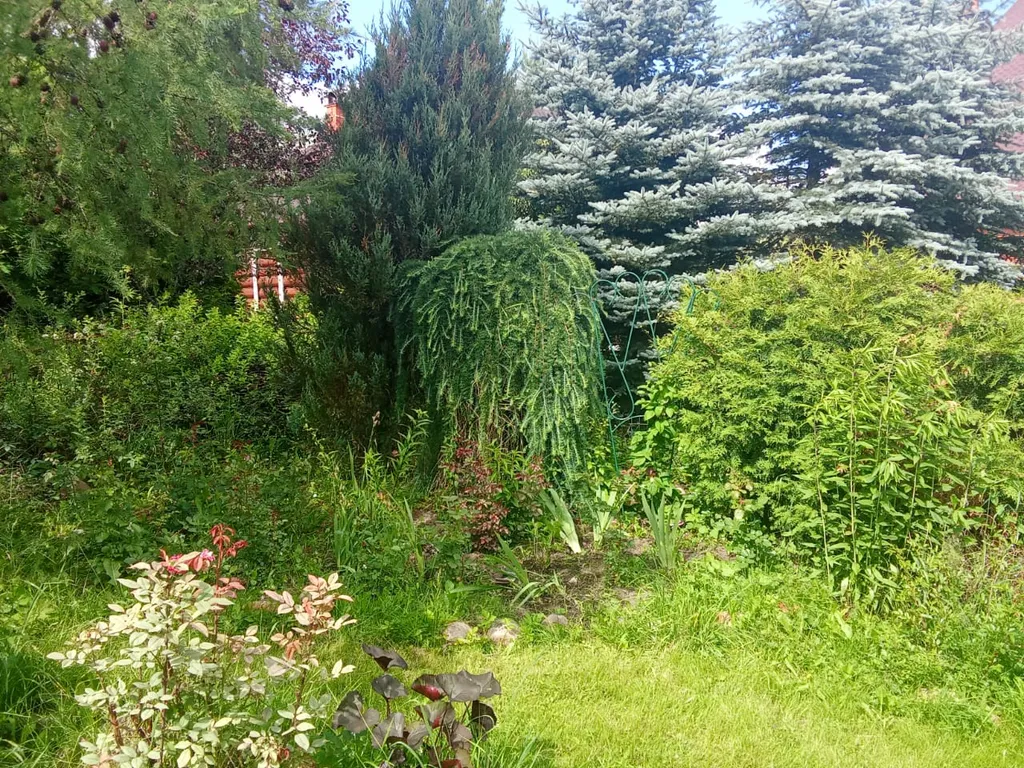 Дом с баней