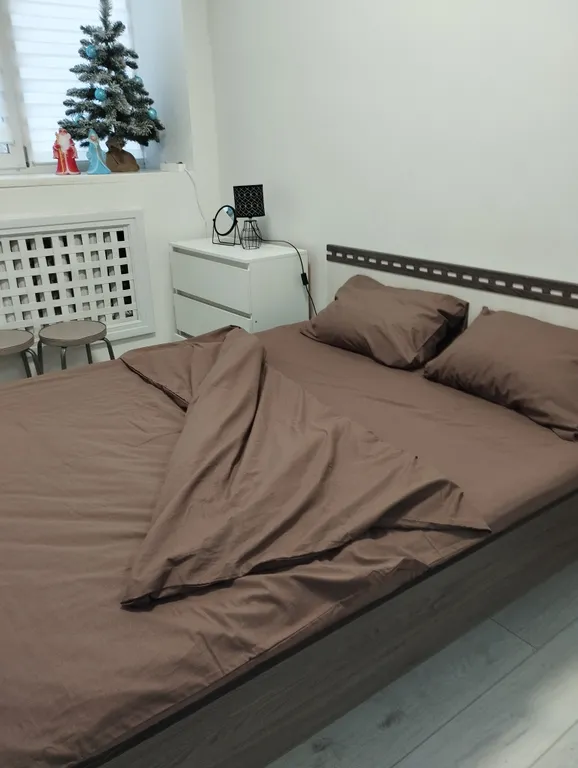 Уютная квартира-студия для 4 человек