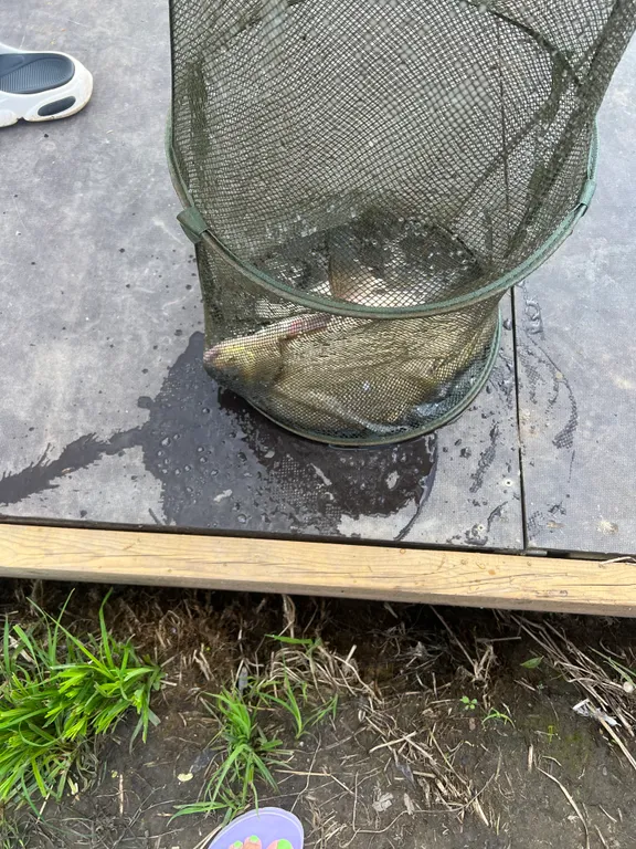 Уютный коттедж №2 у реки