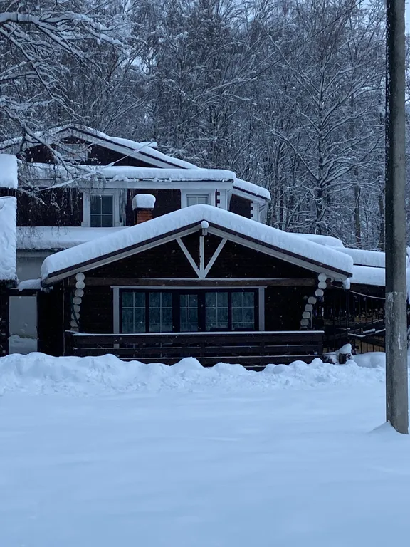 Коттедж Бревенчатый дом в парковой зоне — аренда посуточно в Богородск