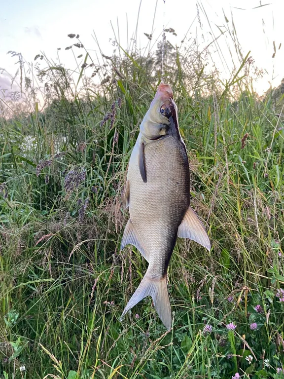 Квартира Семейный апартамент с 2 спальнями и кухней-гостиной — Мичуринское