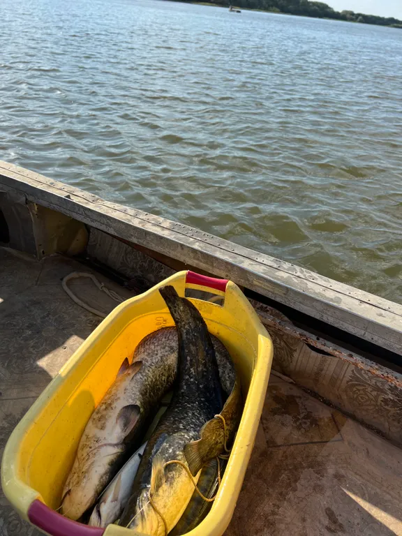 Дом для счастливой рыбалки