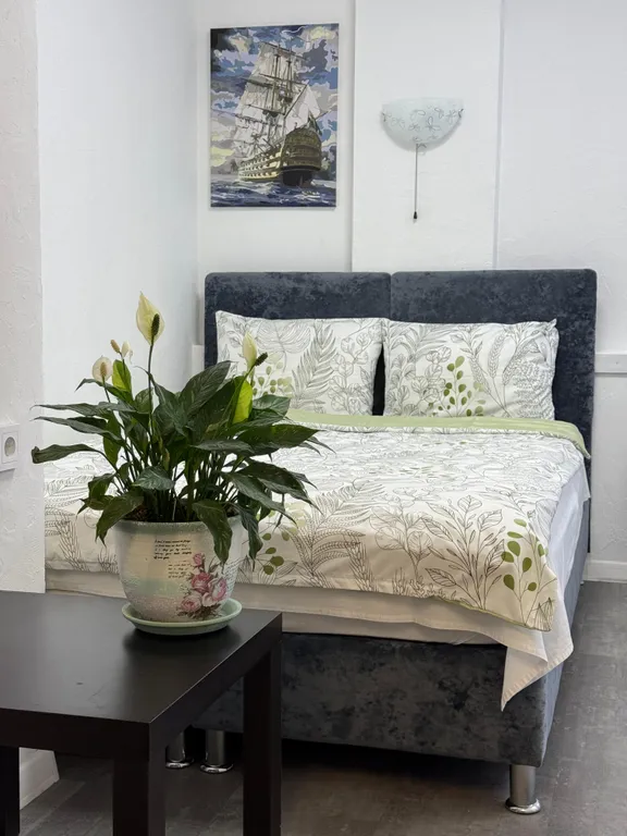 Квартира Очаровательная студия с кондиционером — аренда посуточно в Луга