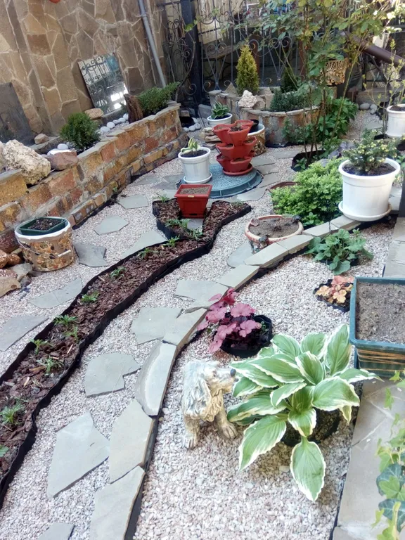 Гостевой дом Оазис на Дачном