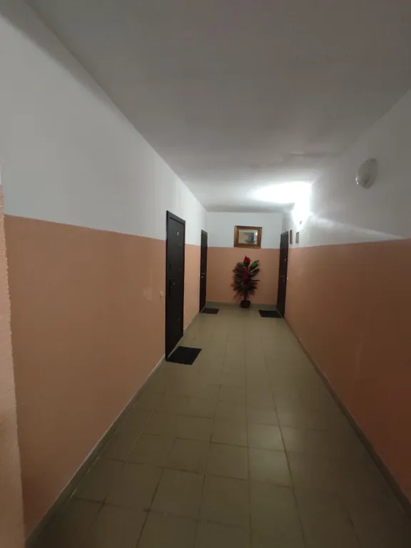 Квартира Уютная квартира для семейного отдыха — Пионерский