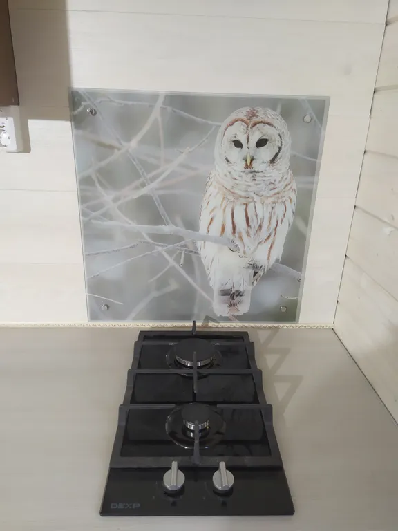 Коттедж Дом с 1 спальней — Надевицы