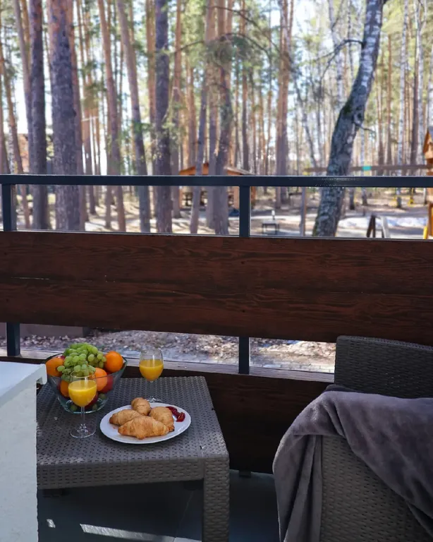 Апартамент в скандинавском парк-отеле Еловое