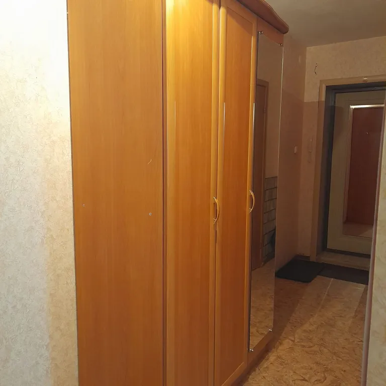 Двушка на Домиках