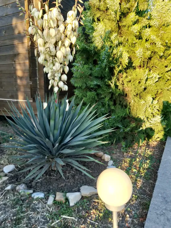 Коттедж Райский домик в тихой бухте — Кучугуры