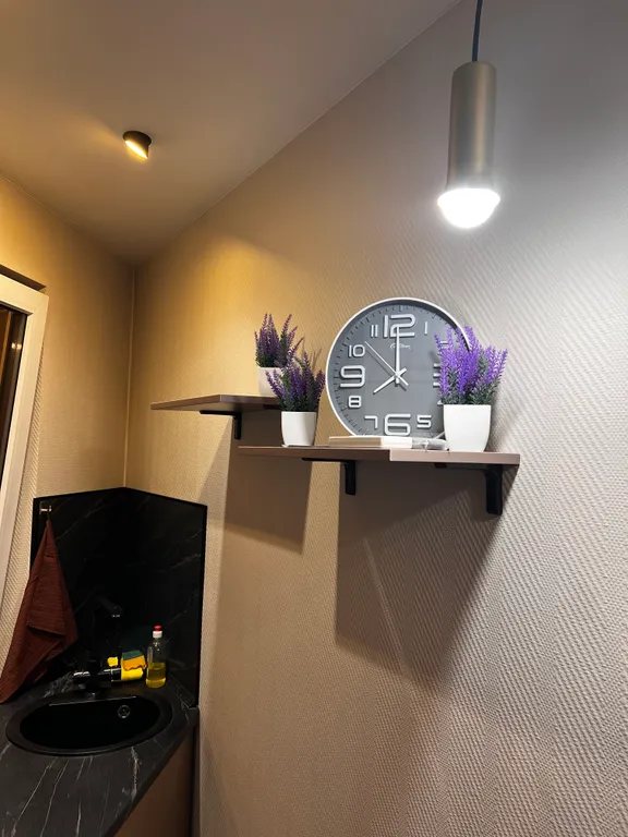 Уютная и стильная студия с отдельной кухней