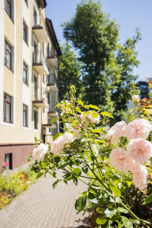 У спуска к морю