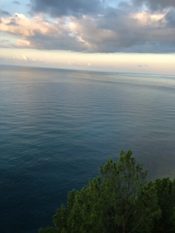 Квартира Уютная квартира с видом в парк — Сириус