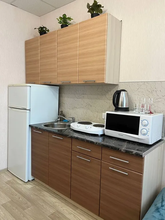 Уютная студия в современном комплексе Октава