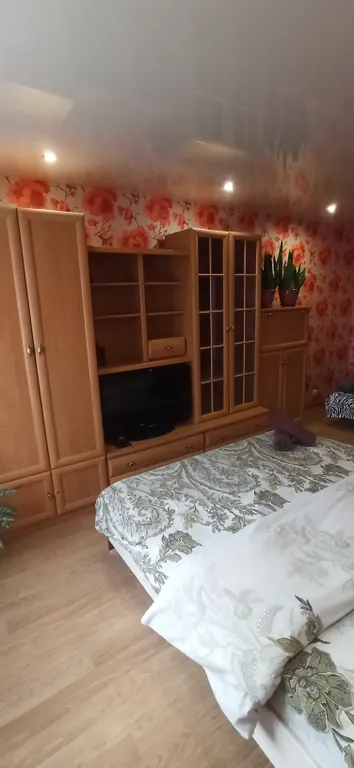 Комфортная квартира в Гомеле на Соже