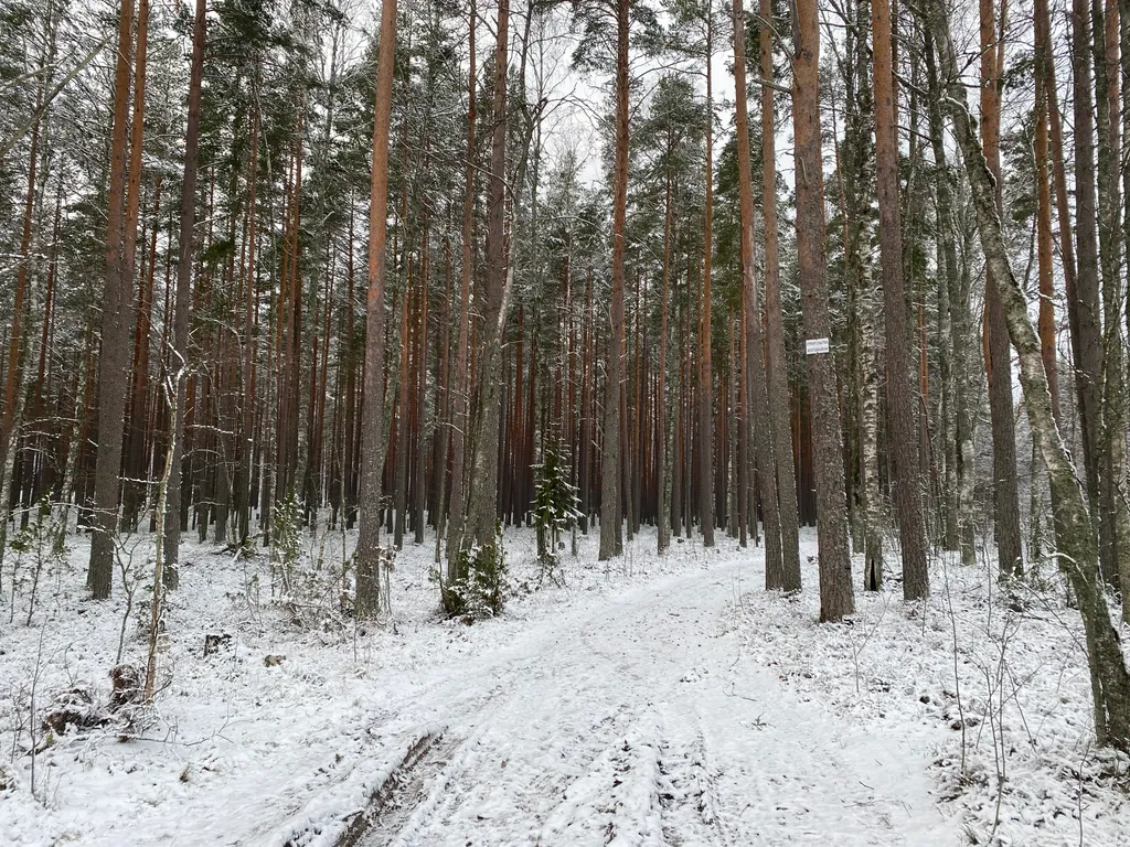Коттедж Новый дом на Ладоге рядом с пляжем — Приозерск