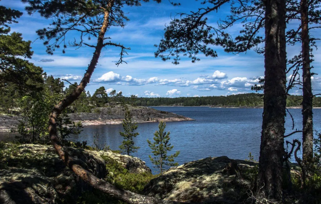 Двухэтажный дом с жаркой сауной у Ладожского озера