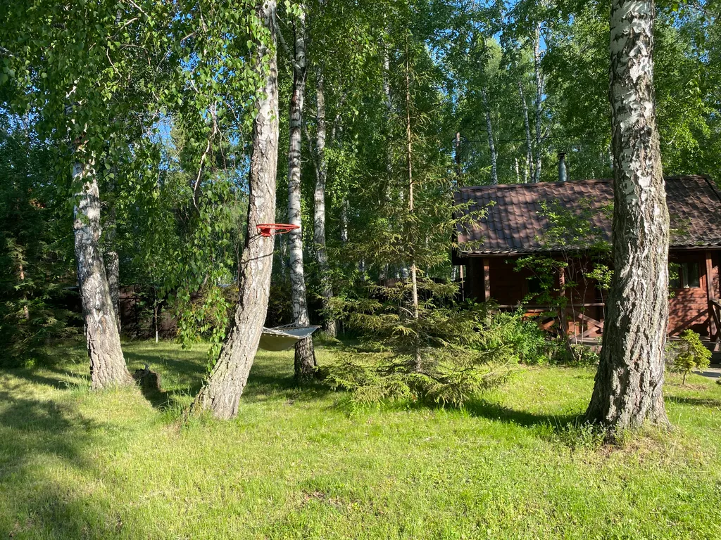 Гостевой дом в лесу