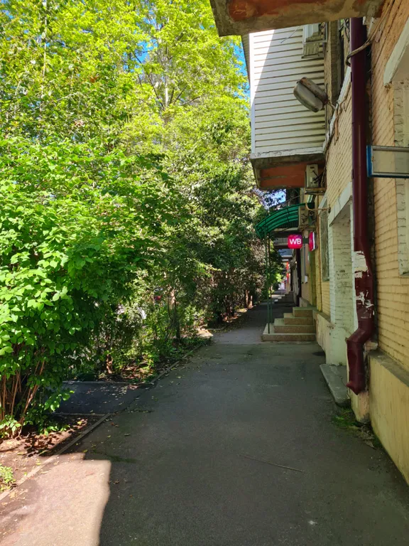 Квартира, центр города