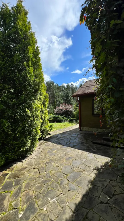 Уединённый хутор в лесу у реки с баней и камином