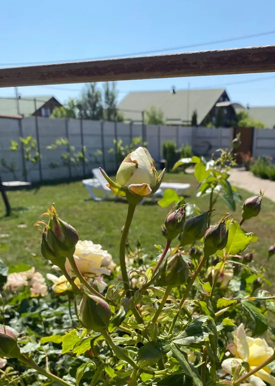 Квартира Комната — Витино