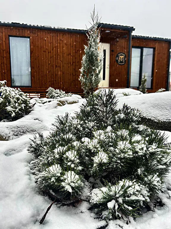 Уютный домик Karhumökki в окружении соснового леса и озер, у Игоры