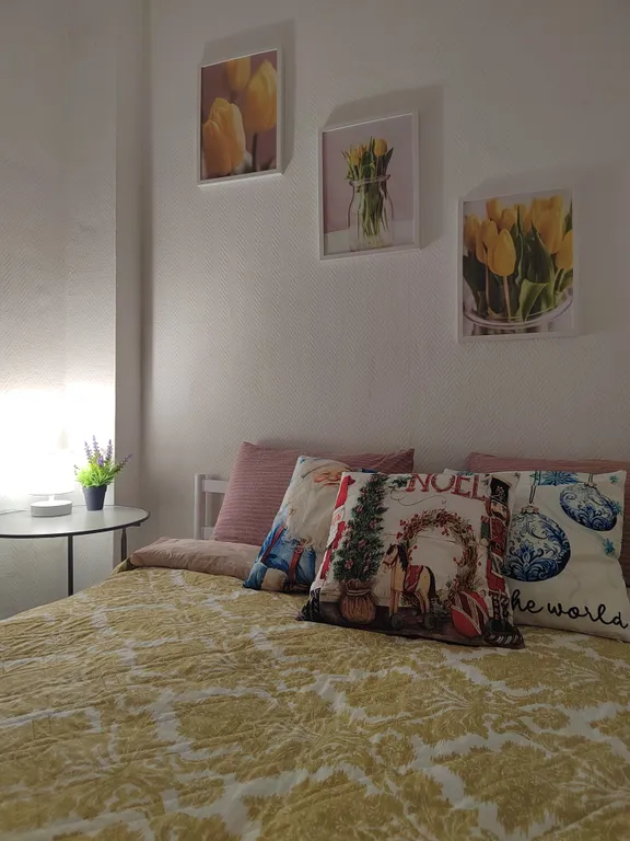 Видовая квартира у Нового рынка