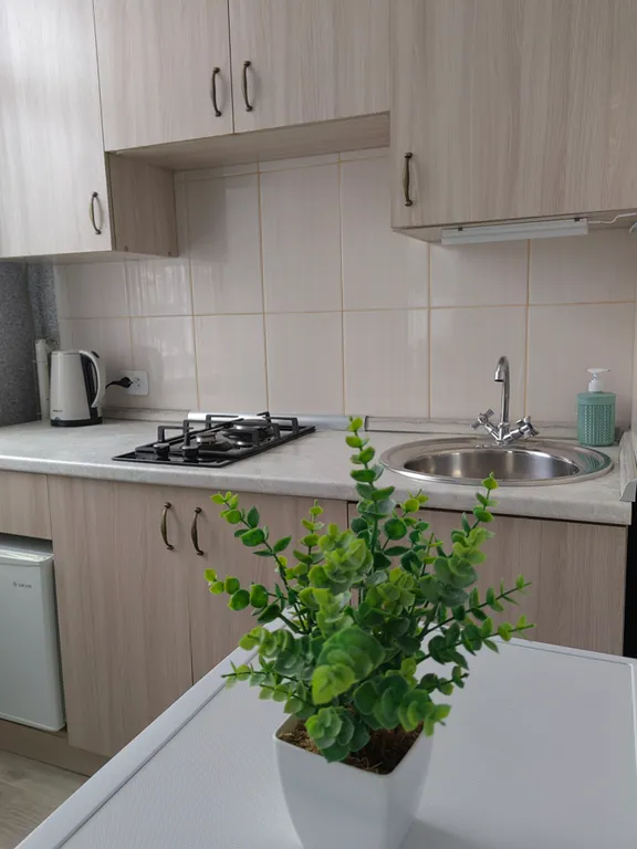 Апартаменты в историческом центре города