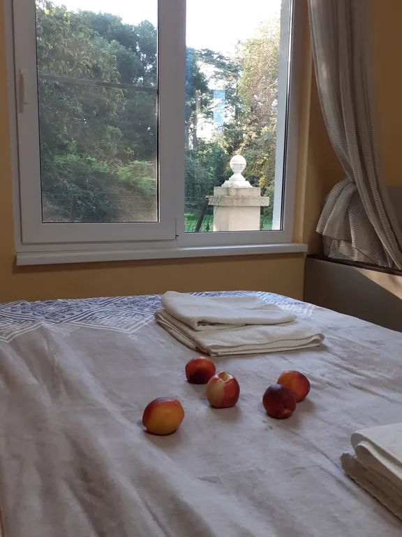 Квартира Квартира Парк Южных культур — Сириус