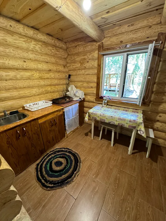 Деревянный дом в лесу рядом с рекой