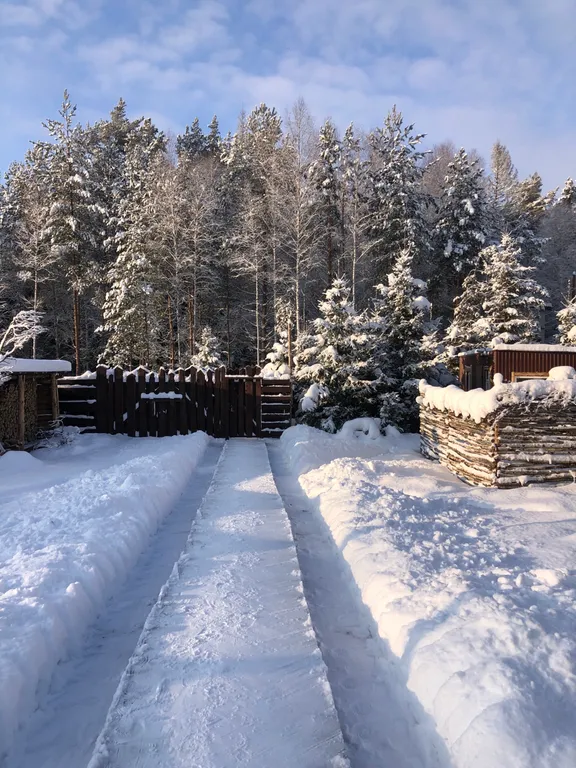 Уютный дом с баней и чаном в лесу