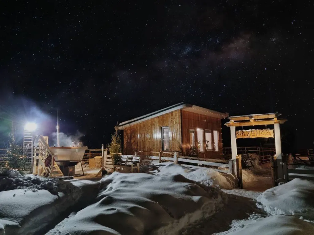 Коттедж Домик с качелью на семейной мини-ферме фазенда — аренда посуточно в Руза