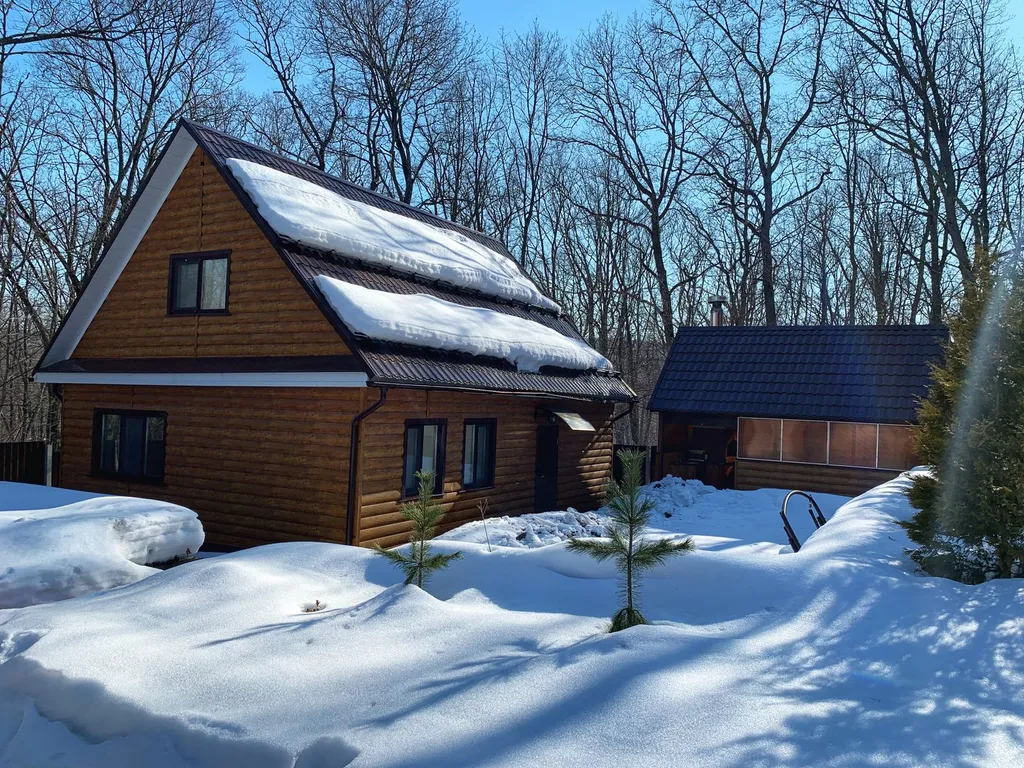 Дом в лесу с бассейном и баней