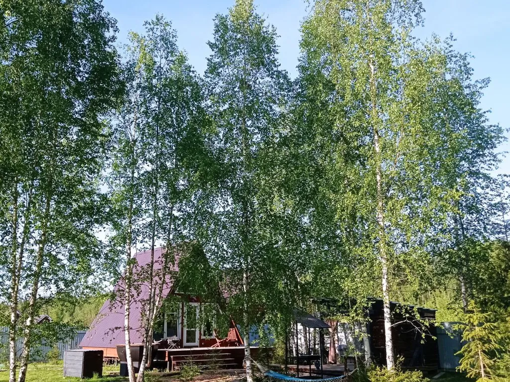 Дом с баней и чаном у леса