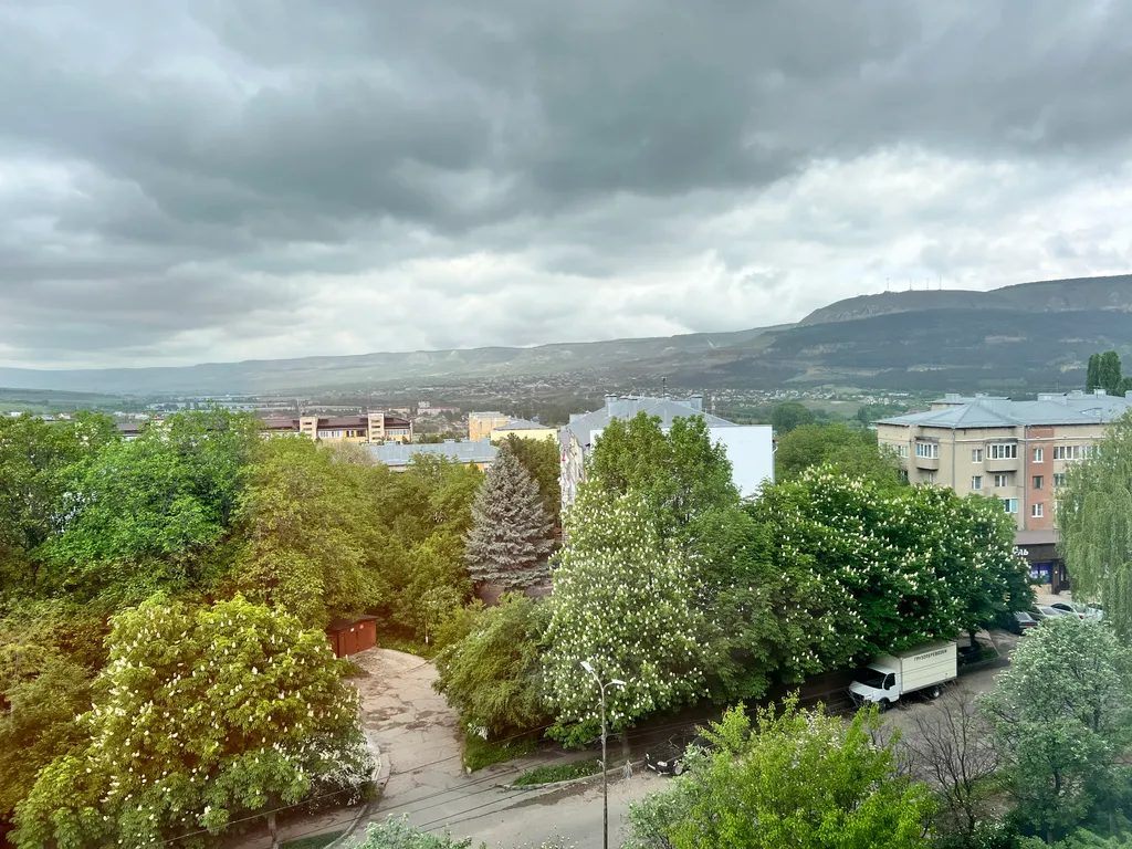 Уютная квартира