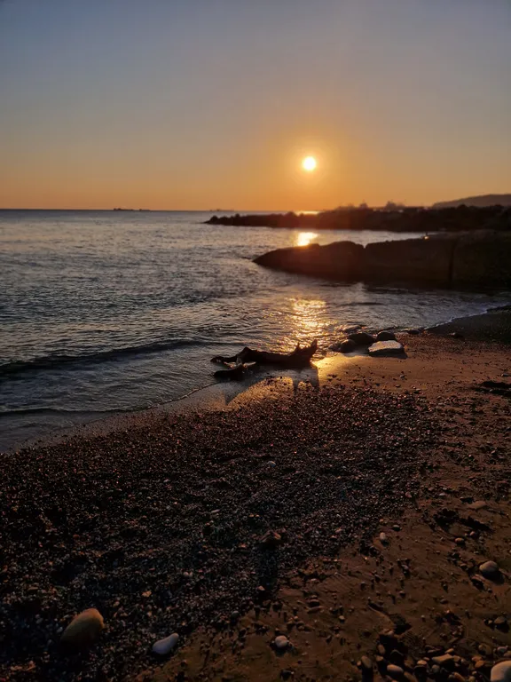 Уютная студия в лесу