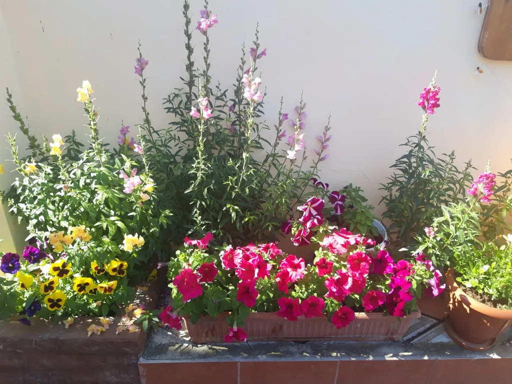 Уютные апартаменты