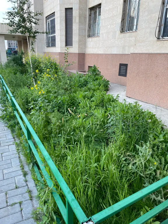 Уютная просторная квартира в тихом спальном районе недалеко от центр