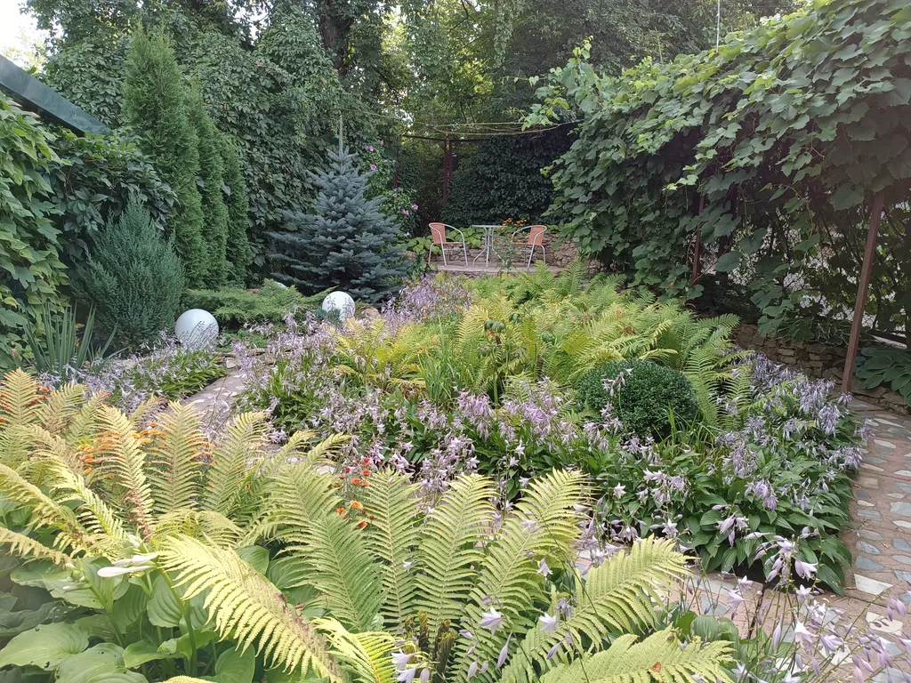 Коттедж 1-комнатный Дом — Кисловодск