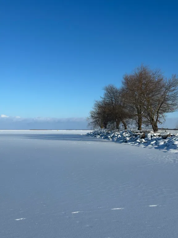 Дом на берегу Псковского озера