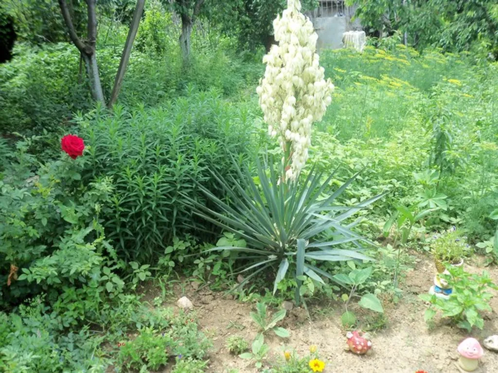 Эконом номера в гостевом доме